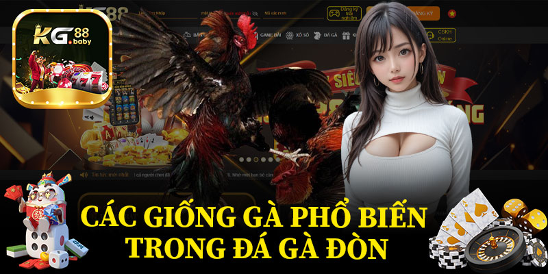 Các Giống Gà Phổ Biến Trong Đá Gà Đòn