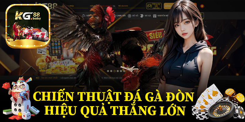 Chiến Thuật Đá Gà Đòn Hiệu Quả Thắng Lớn
