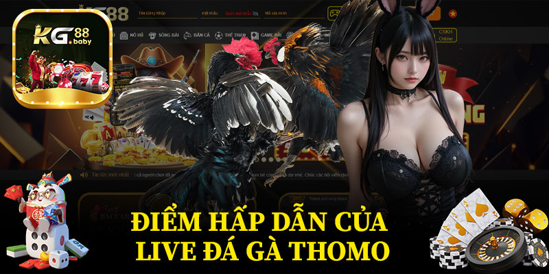 Điểm Hấp Dẫn Của Live Đá Gà Thomo