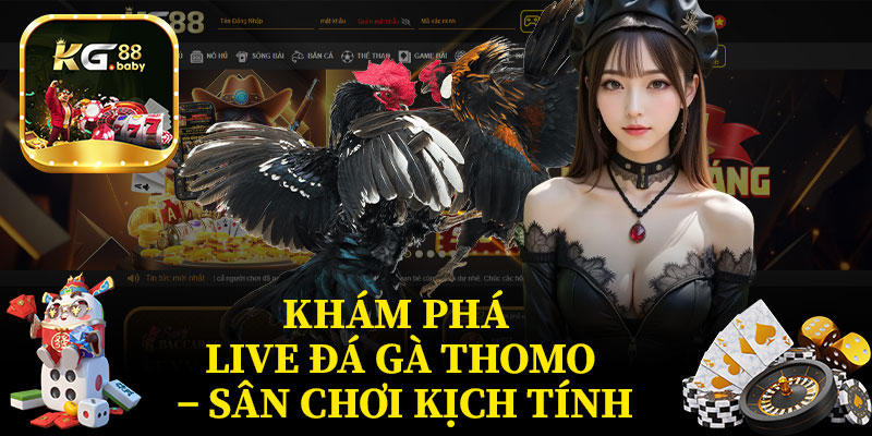Khám Phá Live Đá Gà Thomo – Sân Chơi Kịch Tính