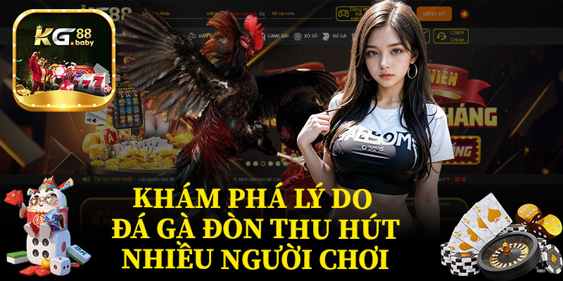 Khám Phá Lý Do Đá Gà Đòn Thu Hút Nhiều Người Chơi