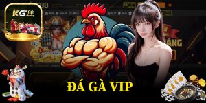 Đá Gà VIP