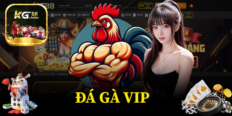 Đá Gà VIP